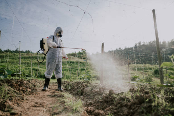 Best Pest Prevention Services  in Whitestown, IN