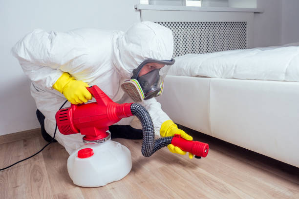 Flea Control Services in Whitestown, IN