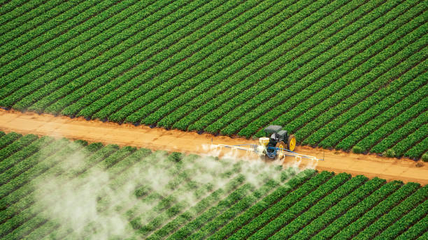 Pest Control Cost in Whitestown, IN