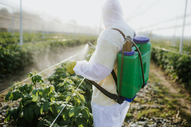 Best Wasp Removal Services  in Whitestown, IN